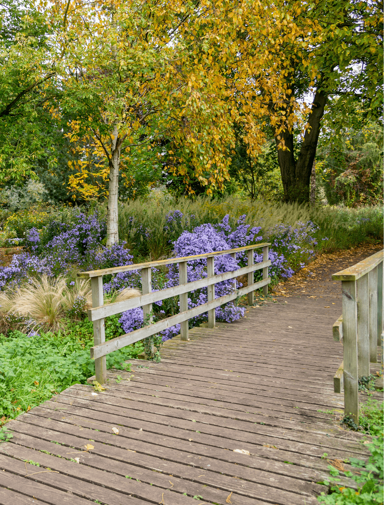 Bressingham Gardens
