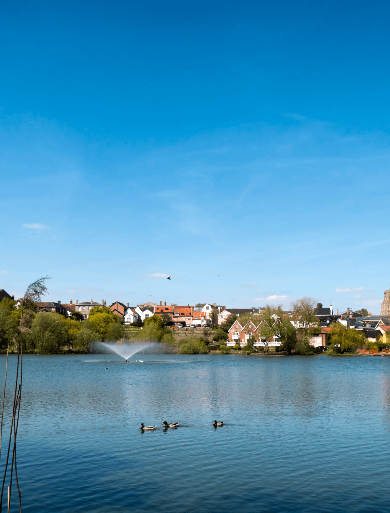 Diss Mere