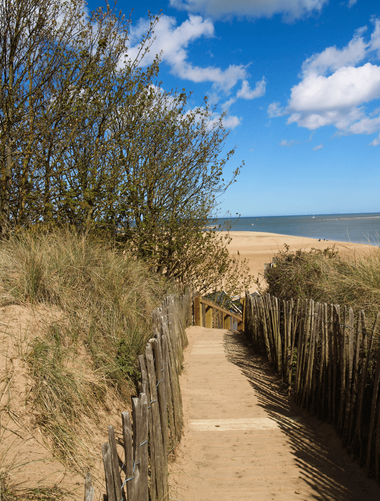 Suffolk beach path