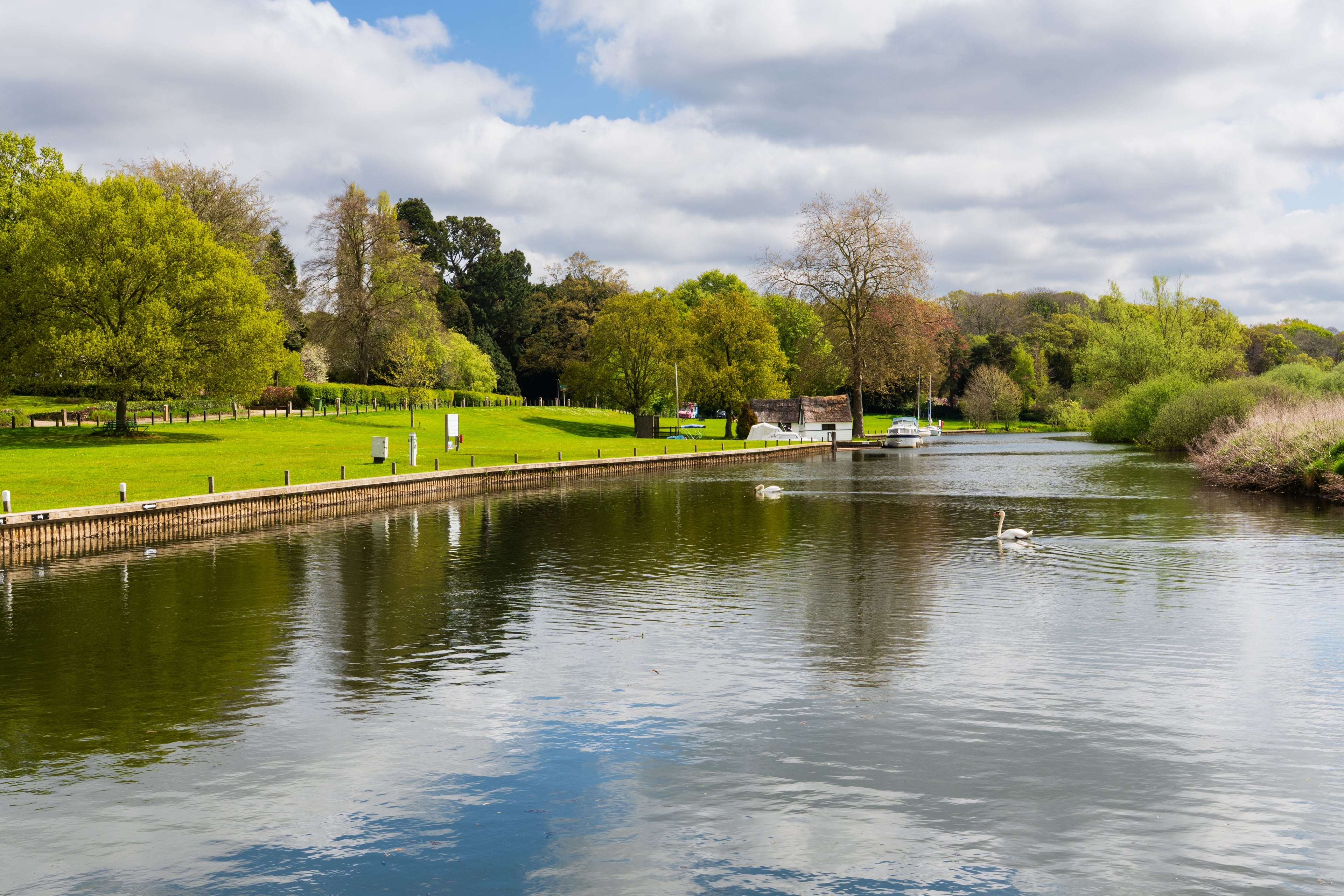 wroxham norfolk broads on a sunny day